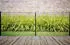 GARDEN 'N' MORE Einstabmattenzaun Standard 10 m x 175 cm Set (5 Zaunelemente + 6 Pfosten) anthrazit (56560942)