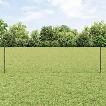 vidaXL Geschwei&szlig;ter Drahtzaun 100 x 0,6 m (3336923)