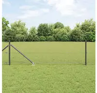 vidaXL Schwei&szlig;drahtzaun mit Spikes 50 x 0,6 m (B x H)