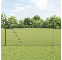 vidaXL Schwei&szlig;drahtzaun mit Spikes 50 x 1,6 m (B x H)