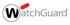 WatchGuard Firebox T45-PoE