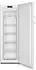 Gorenje FN417DCW