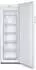 Hisense FV245N4AW2