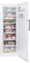 Beko RFNE448E45W