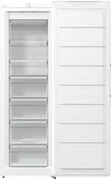 Gorenje FN 619 EEW5