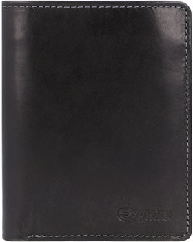 Esquire Denver RFID Wallet (045918) black