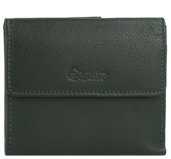 Esquire Viktoria Wallet RFID green (121462-04)