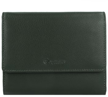 Esquire Viktoria Wallet RFID green (127862-04)