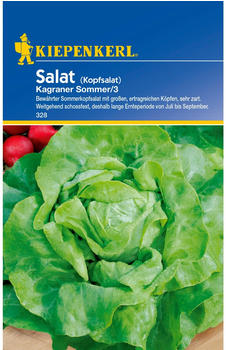Kiepenkerl Salat Kopfsalat Kagraner Sommer 3 (KK328)