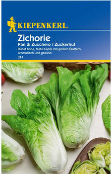 Kiepenkerl Zichorie Zichoriensalat Pan di Zucchero Zuckerhut (KK314)