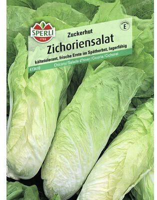Sperli Zichoriensalat Zuckerhut Salatsamen (413410)