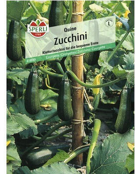Sperli Zucchini Quine (418699)