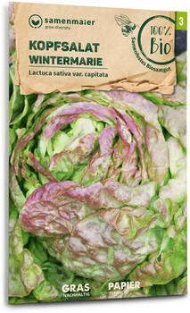 Samen Maier Bio Kopfsalat Wintermarie (1 Packung)