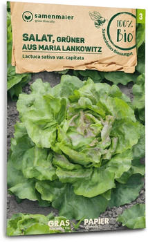 Samen Maier Bio Salat Grüner aus Maria Lankowitz (1 Packung)