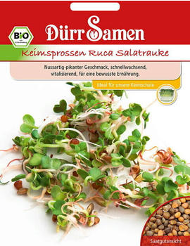 Dürr-Sa­men Bio-Keimsprossen Ruca Salatrauke (75 g)