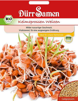 Dürr-Sa­men Bio-Keimsprossen Weizen (75 g)