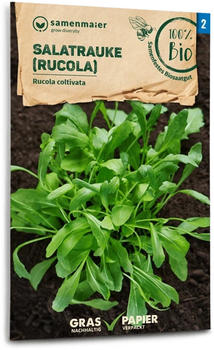 Samen Maier Bio Salatrauke (Rucola (1 Packung)