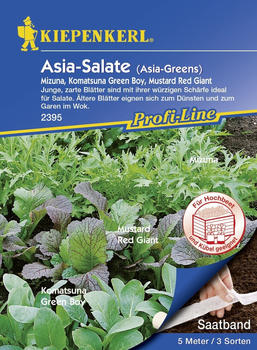Kiepenkerl Asia-Salate Saatband Inhalt reicht für 5 lfd. Meter (0693108753)
