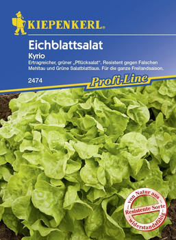 Kiepenkerl Eichblattsalat Kyrio 150 Pflanzen (0693108933)