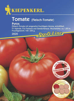 Kiepenkerl Fleisch-Tomate Pyros F1 Inhalt reicht für 15 Korn (0693108769)