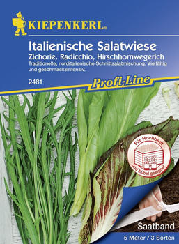 Kiepenkerl Italienische Salatwiese Saatband Inhalt reicht für 5 lfd. Meter (0693108758)