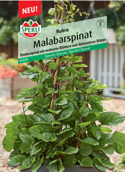 Sperli Malabarspinat Rubra (0693109350)