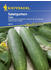 Kiepenkerl Salatgurke Tanja 40 Pflanzen (0693108946)