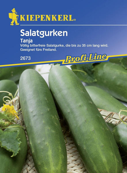 Kiepenkerl Salatgurke Tanja 40 Pflanzen (0693108946)
