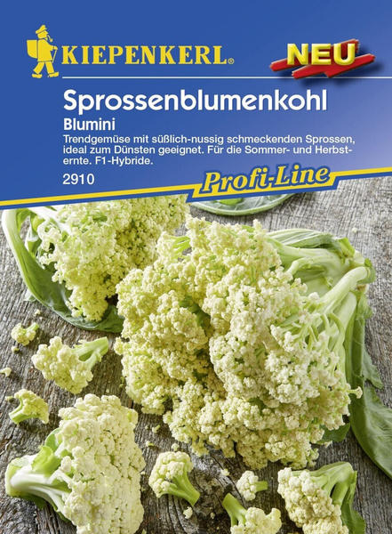 Kiepenkerl Sprossenblumenkohl Blumini F1 15 Pflanzen (0693108959)