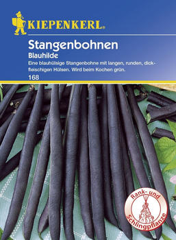 Kiepenkerl Stangenbohne Blauhilde 8-10 Stangen (0693108911)