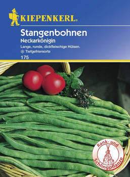 Kiepenkerl Stangenbohne Neckarkönigin 15-20 Stangen (0693108912)