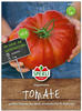 Tomate Gigantomo F1 (Fleischtomate), größte Tomate der Welt, sehr aromatisch