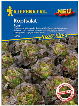 Kiepenkerl Saatgut Kopfsalat Roxy