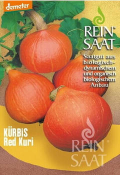 ReinSaat Kürbis Red Kuri (1 Packung)