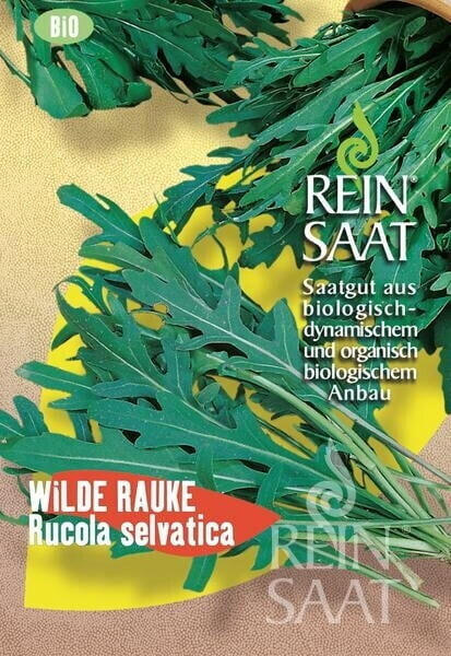 ReinSaat Wilde RaukeRucola selvatica' (1 Packung)