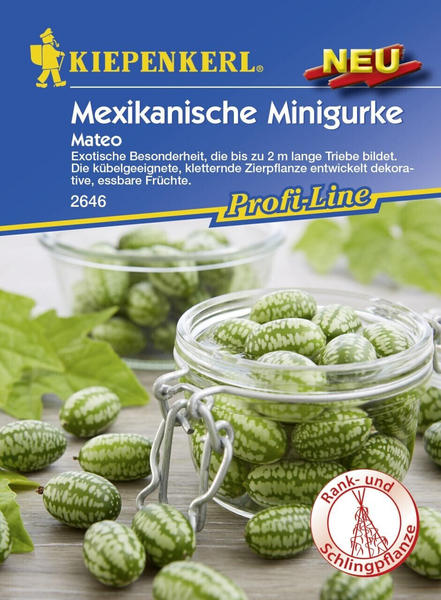 Kiepenkerl Mexikanische Minigurke Mateo 8 Pflanzen (0693108944)