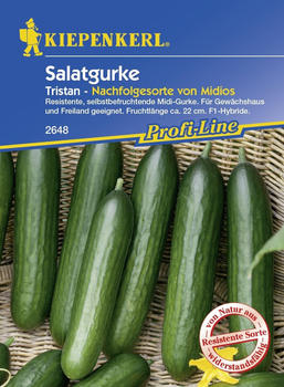 Kiepenkerl Salatgurke Tristan F1 5 Pflanzen (0693108945)