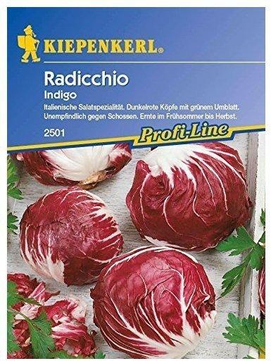 Kiepenkerl Radicchio-Samen Indigo