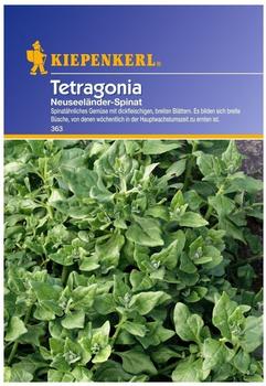 Kiepenkerl Neuseeländer-Spinat Tetragonia