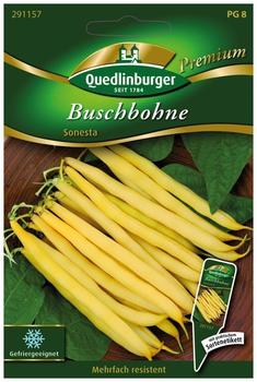 Quedlinburger Saatgut Buschbohne Sonesta