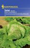 Salatsamen - Kopfsalat Grazer Krauthäuptel 2 von Kiepenkerl