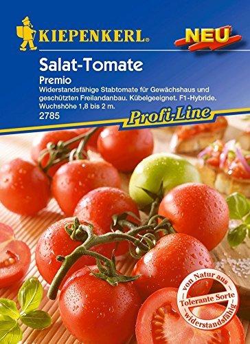 Kiepenkerl Salat-Tomate Premio F1