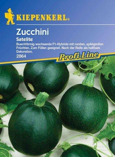 Kiepenkerl Zucchini Satelite