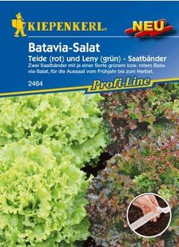 Kiepenkerl Batavia-Mix rot-grüner (Saatband)