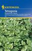 Neuseeländer Spinat: Tetragonia, Tetragonia tetragonioides - 1 Portion