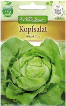 Chrestensen Kopfsalat Attraktion