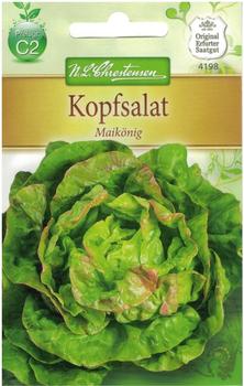 Chrestensen Kopfsalat Maikönig