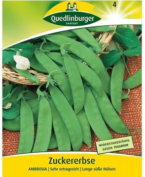 Quedlinburger Saatgut Zuckererbse Ambrosia
