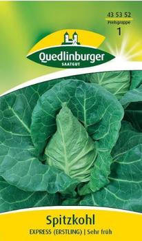Quedlinburger Saatgut Spitzkohl Express