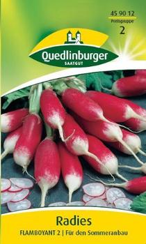 Quedlinburger Saatgut Radies Flamboyant 2